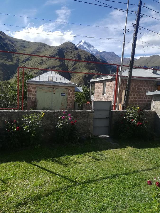 Lela Rezo Guesthouse Kazbegi Extérieur photo