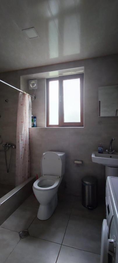 Lela Rezo Guesthouse Kazbegi Extérieur photo
